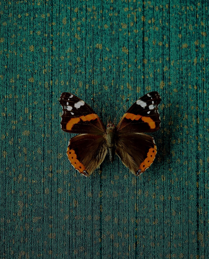 307351.1