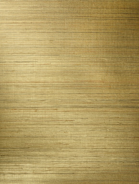 80710 (2)