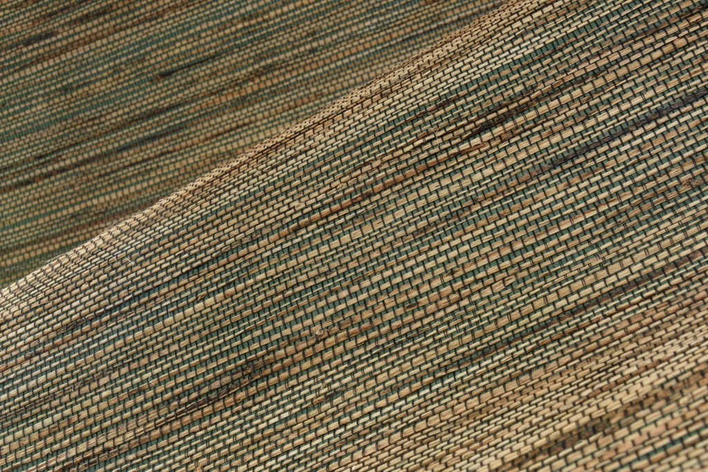 54551 (2)