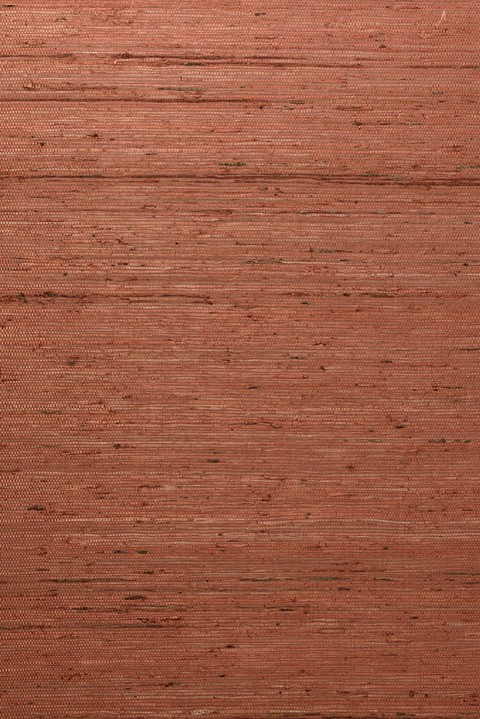 54538 (3)