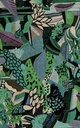 97671 (2)