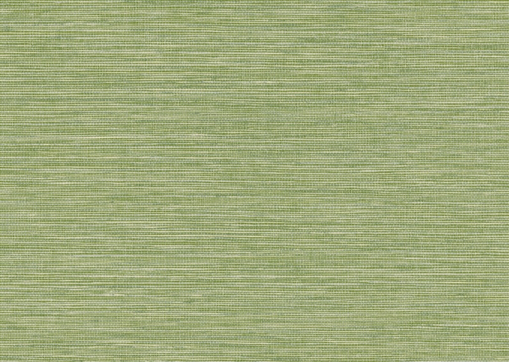 26725 (2)