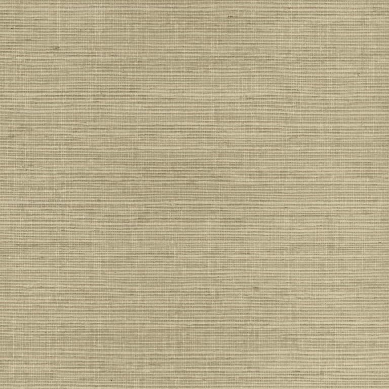 0075620_sisal (1)