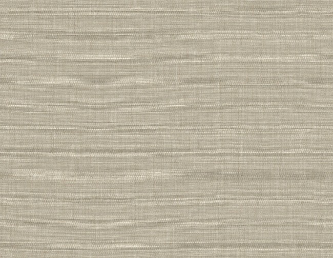 0090748_ascend-plain-brown-sugar_650