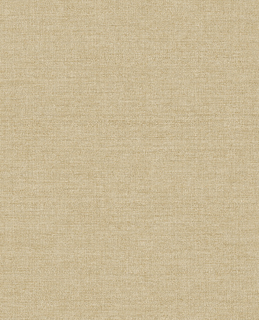 Amber - Canvas 350632