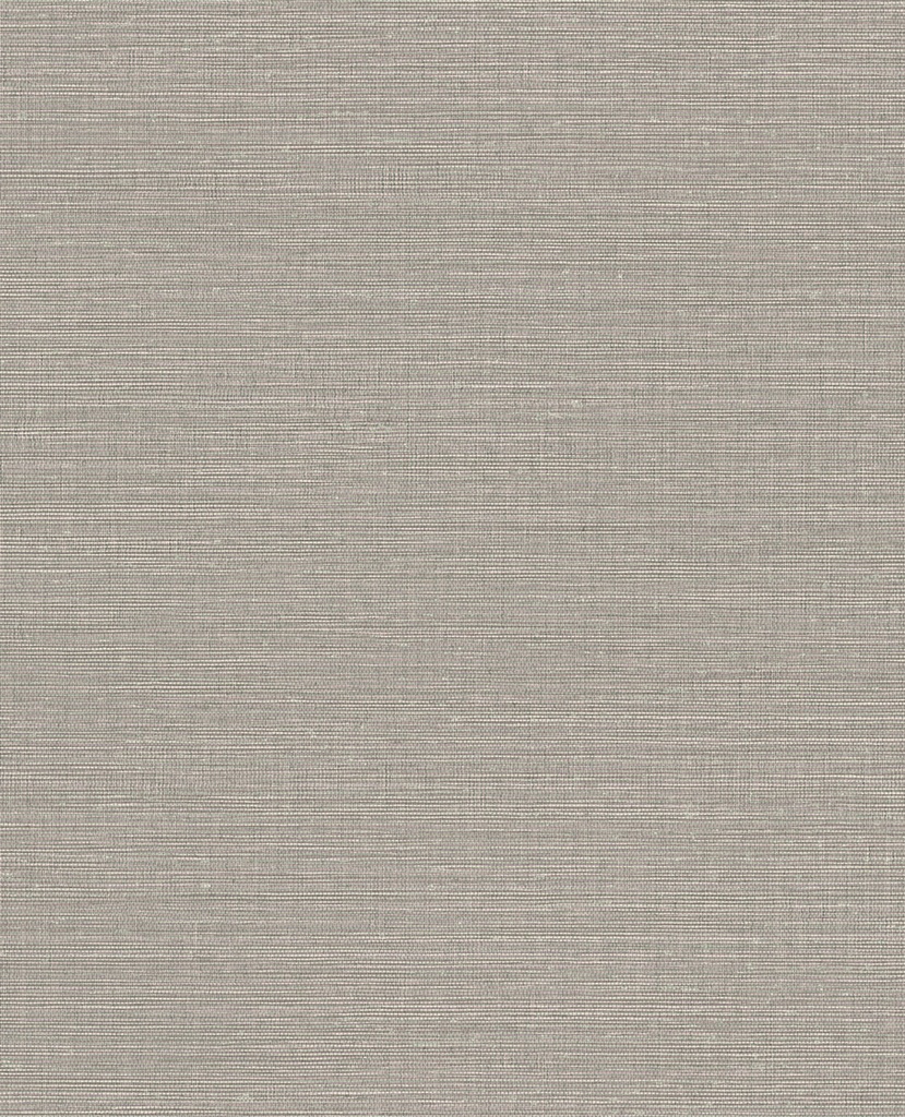 Canvas - Grasscloth 313500