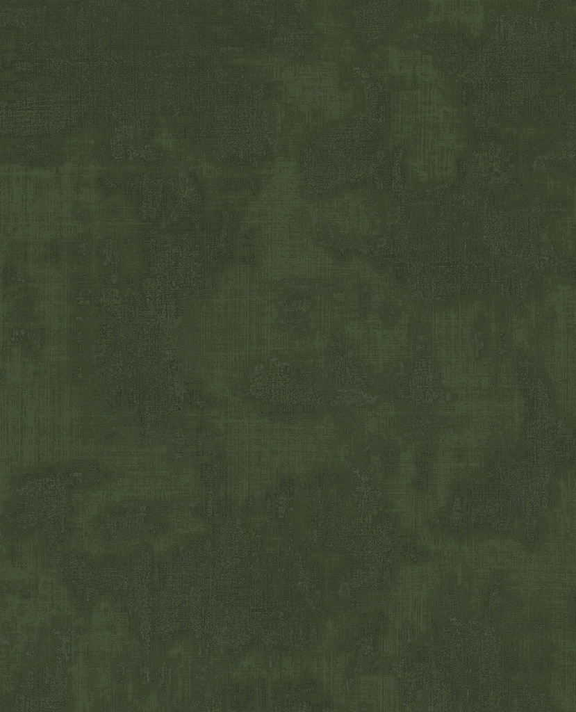 Canvas - Shades 313526