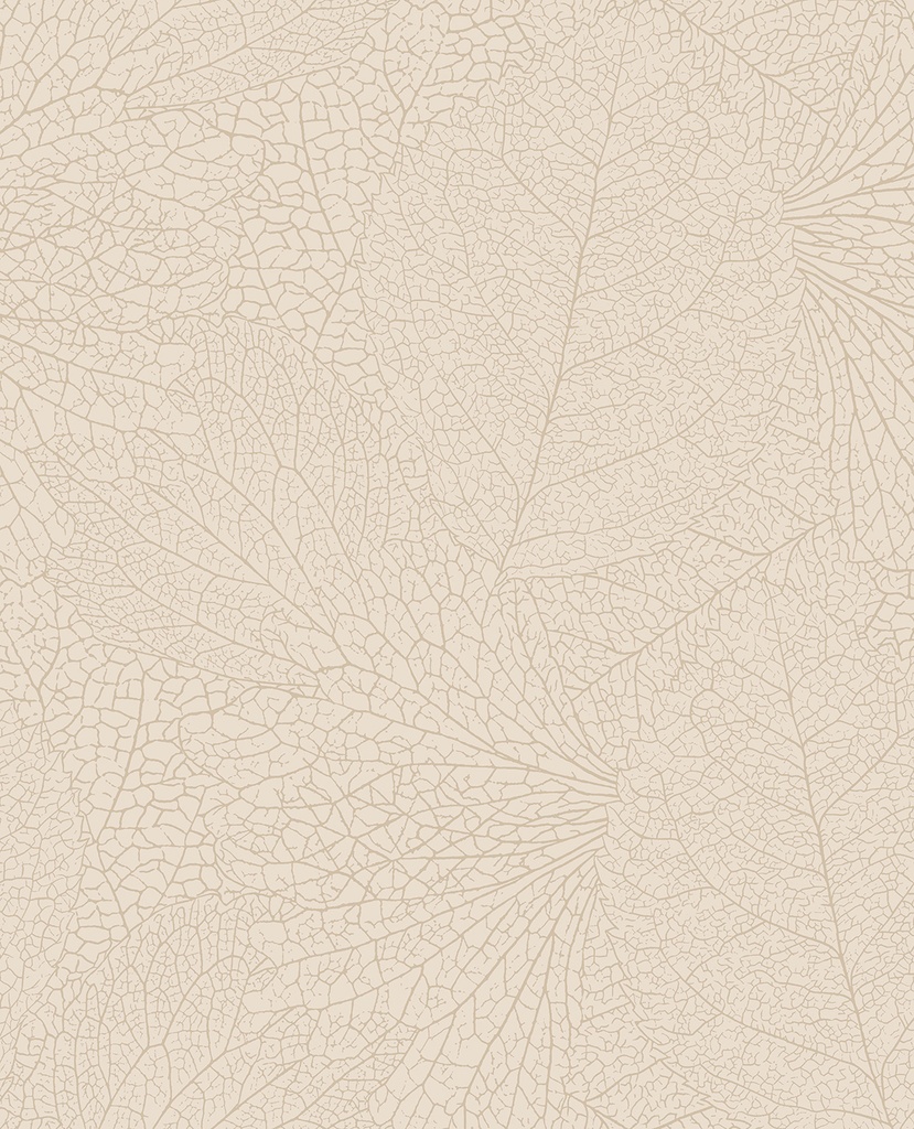 Embrace - Leaflet 324040