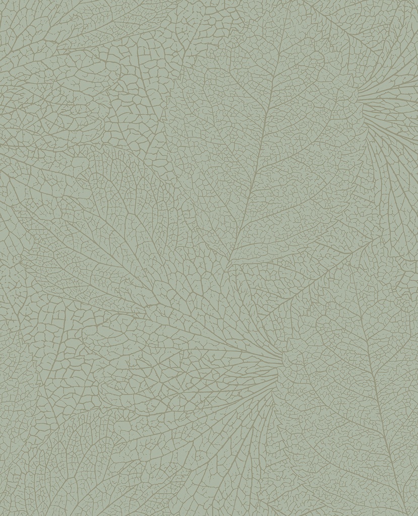 Embrace - Leaflet 324045