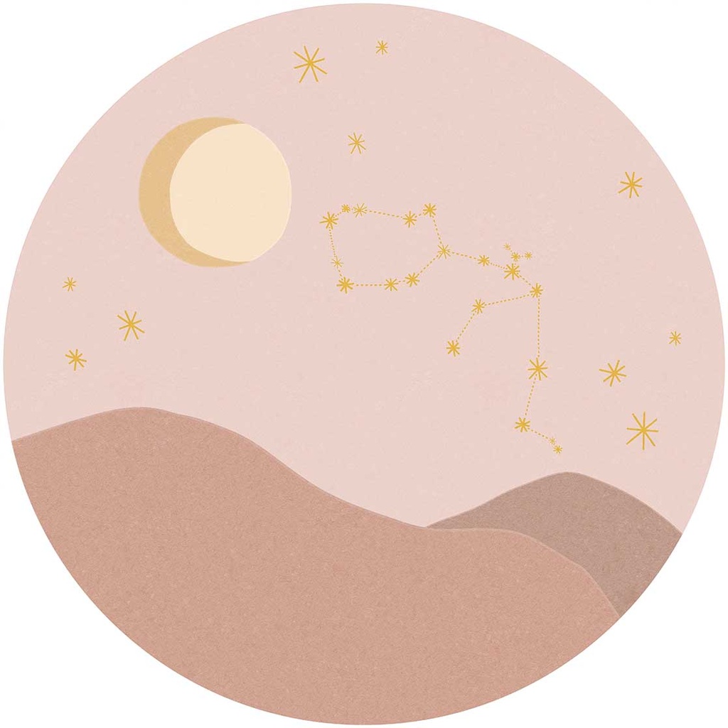 Explore - Acuarius Rose 323114