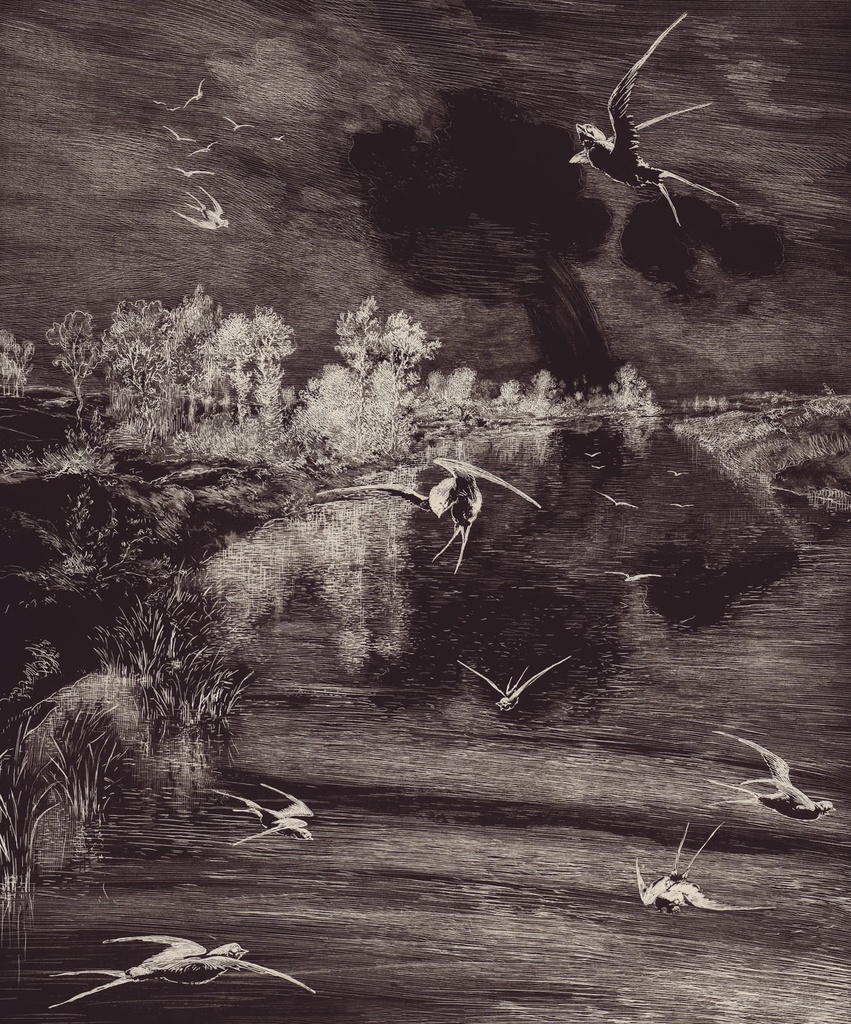 Geonature -  366100