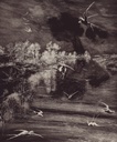 Geonature -  366100