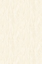 Geonature -  366103