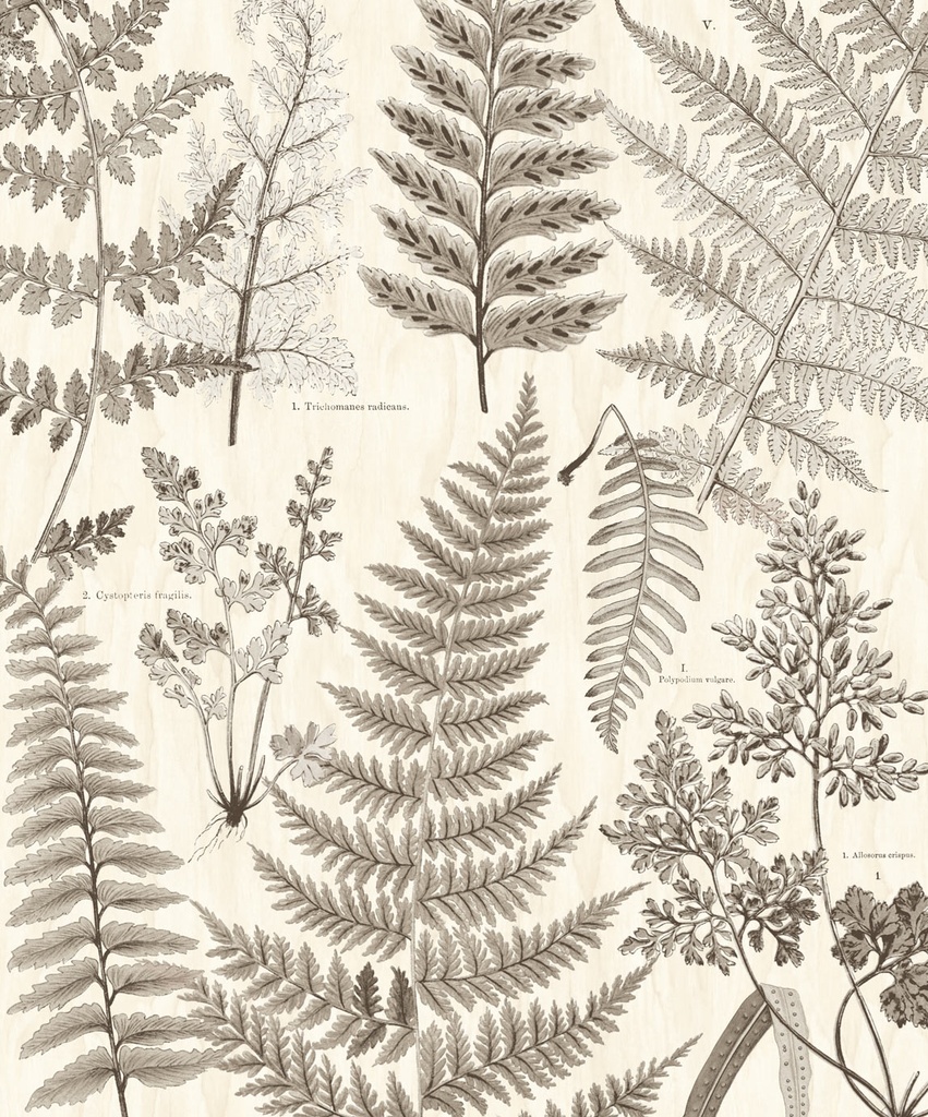 Geonature - 366105
