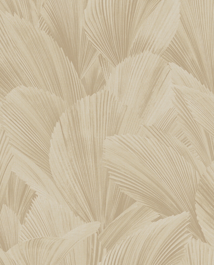 Gilded - Licuala 340120