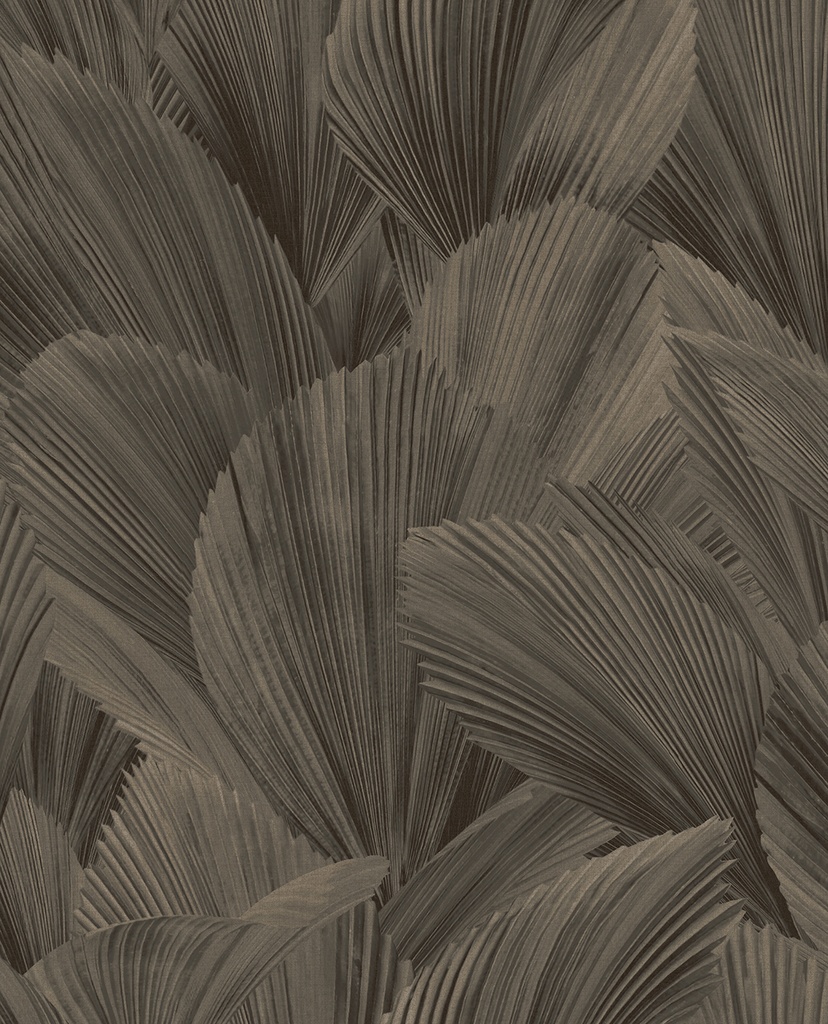 Gilded - Licuala 340126
