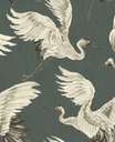 Oasis - Birds Of Paradise 317355