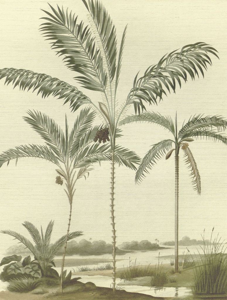 Oasis - Exotic Jungle Mural 317406