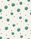 Rice Ii - 383510