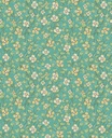 Rice Ii -  383535