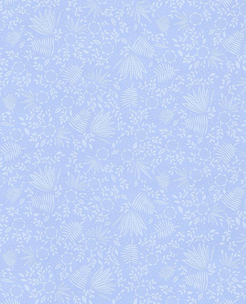 Rice Ii - 383543