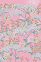 Rice Ii -  383619