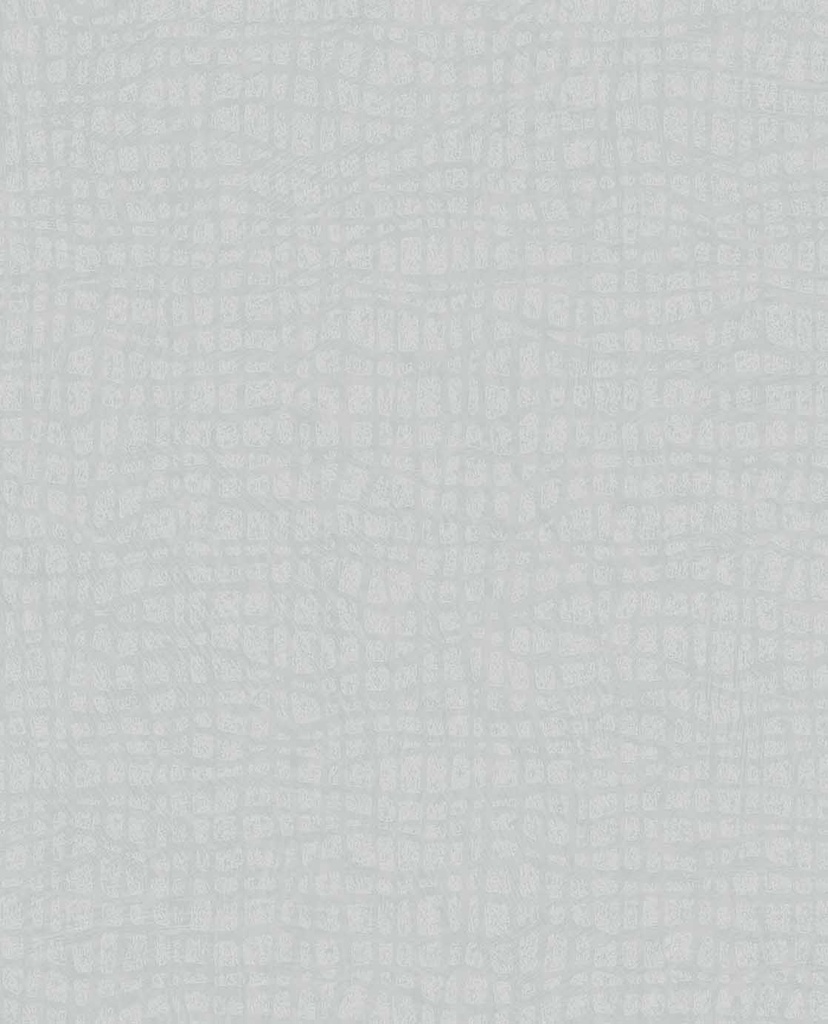 Sensory - Tortoise 340310