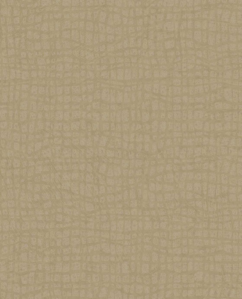 [340314] Sensory - Tortoise 340314