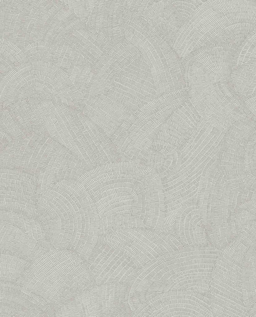 Sensory - Shimmer 340364