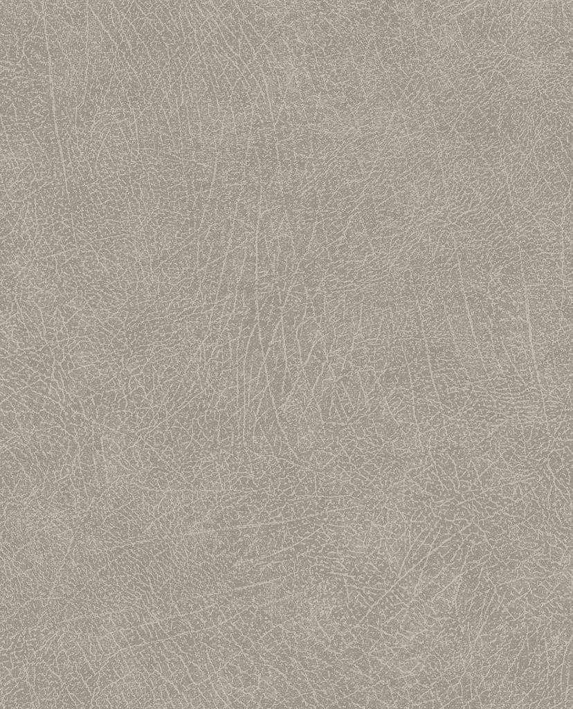 Skin -  300512