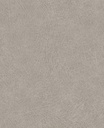 Skin - 300512