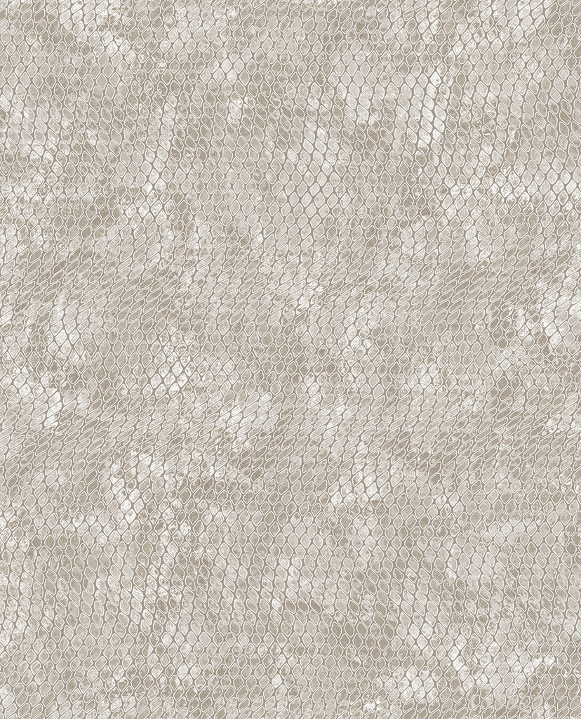 Skin - 300520