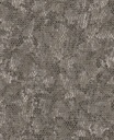 Skin - 300521
