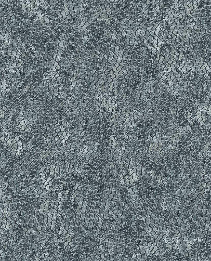 Skin -  300523