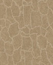 Skin -  300533
