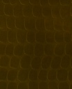 Skin - 300560