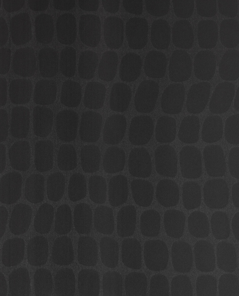 Skin - 300563