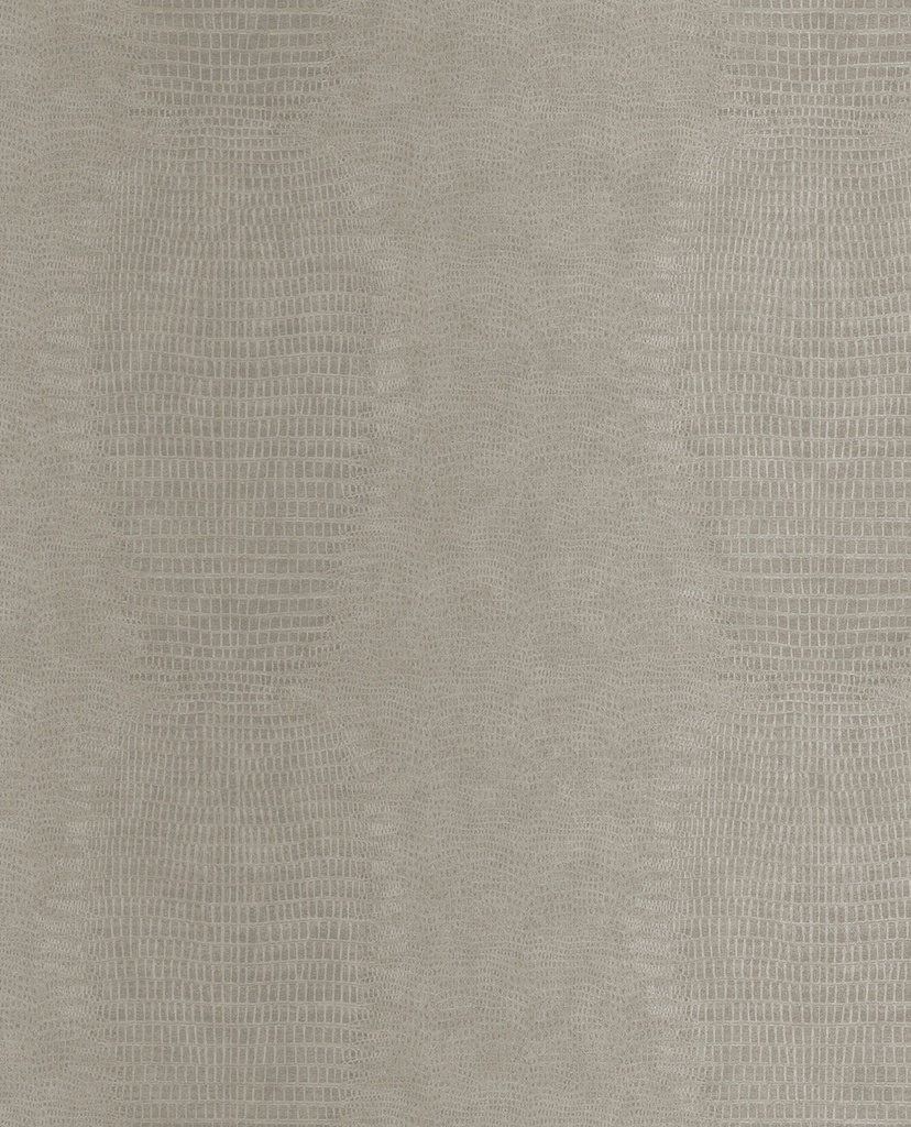 Skin -  300570