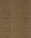 Skin - 300571