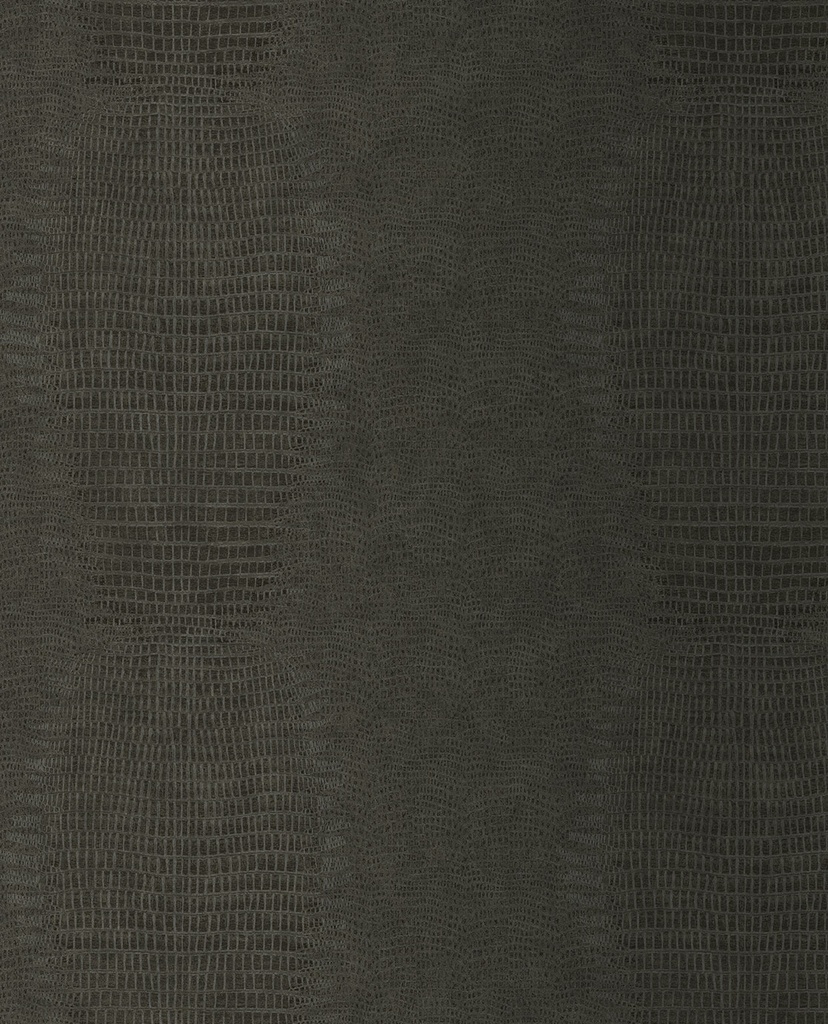 Skin -  300572