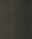 Skin - 300572