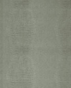 Skin - 300574