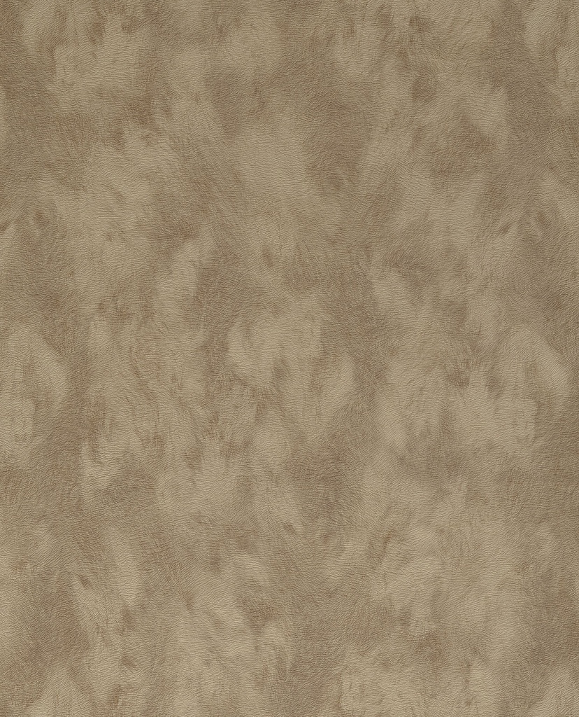 Skin - 300581