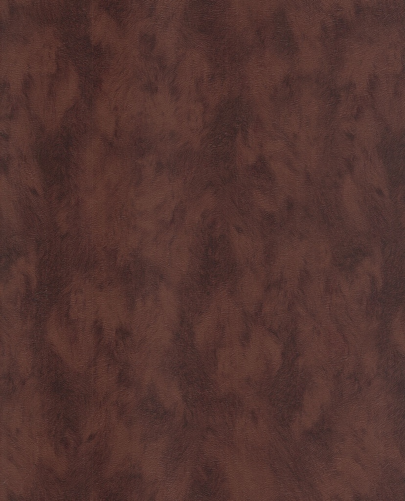 Skin -  300583