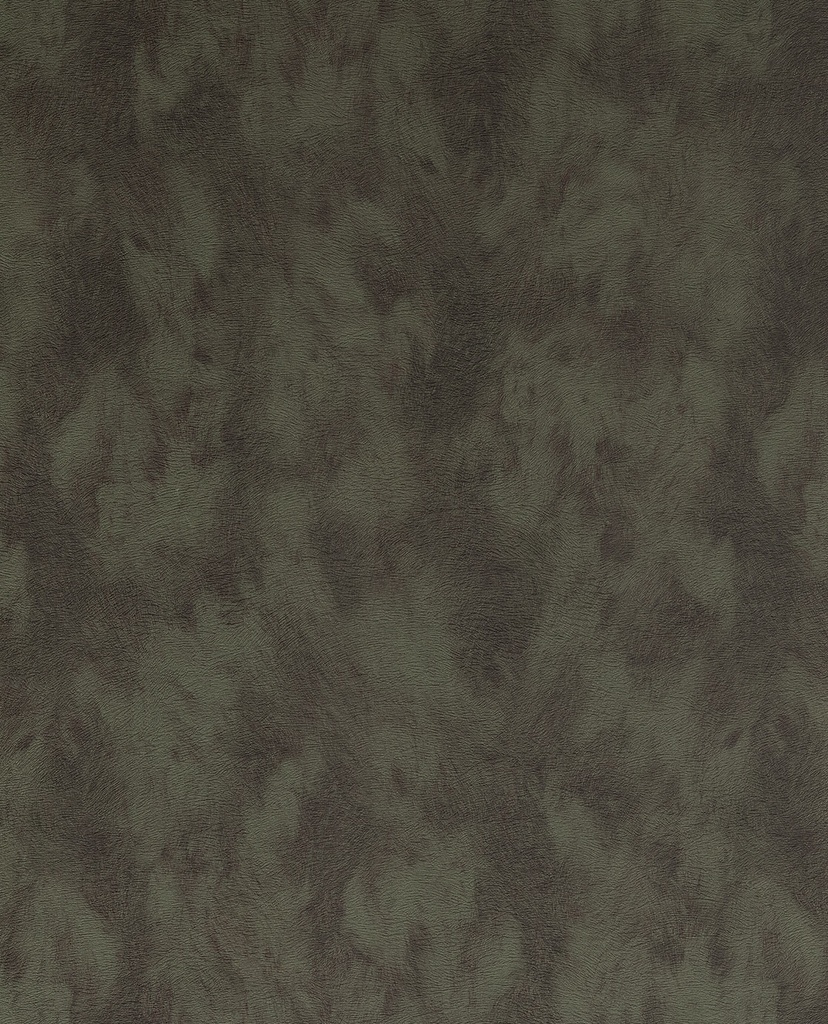 Skin - 300584