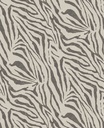 Skin -  300601
