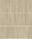 Terra - 391513