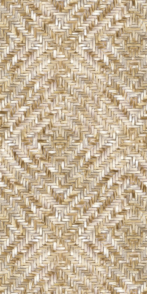Terra -  391563