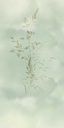 Waterfront -  300904