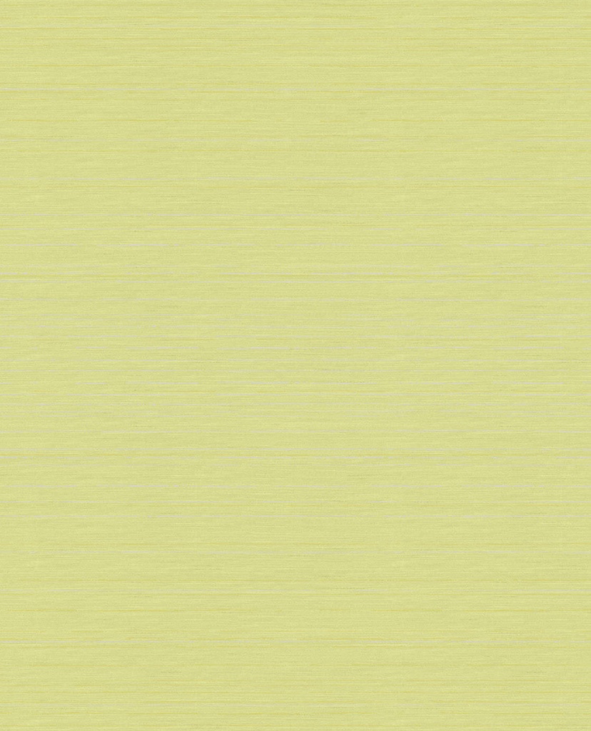 [364043] Wallpower Junior - 364043